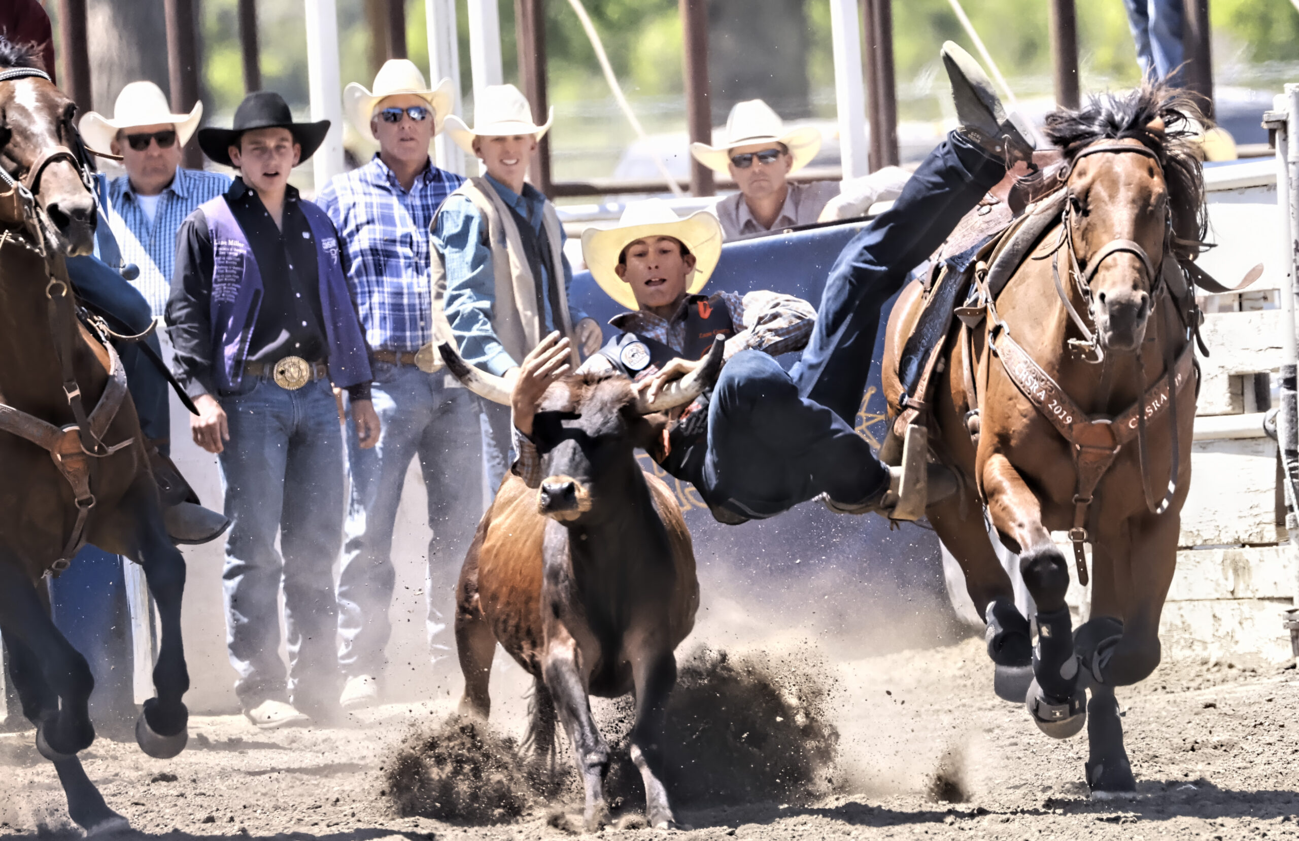 2023 High School Rodeo Finals Sierra Wave Eastern Sierra NewsSierra