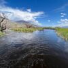 Owens River Looking South at Warm Springs Bridge - July 2023