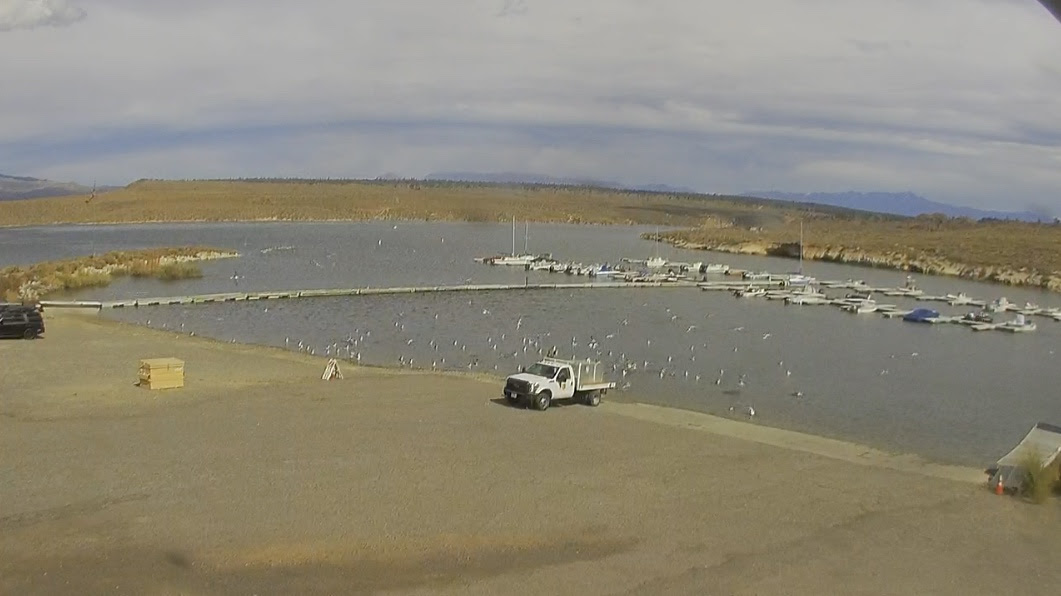 Crowley Lake Current Fishing Conditions from The Trout Fitter Sierra